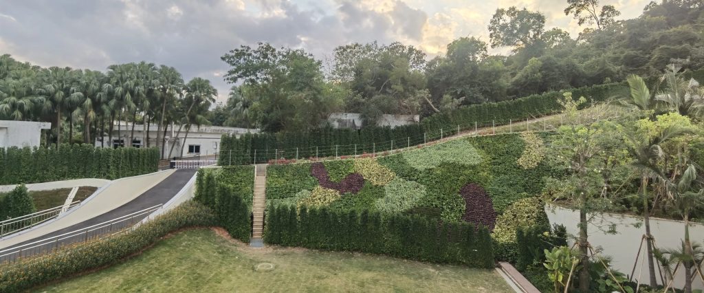 Reinventing Urban Skylines: How Xponge® Transforms Barren Slopes into Breathing&nbsp;Ecosystems