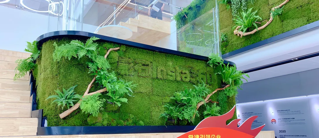 Tech-Infused Biophilia: How MiniJungle’s Xponge® Redefines Moss Walls for Insta360
